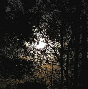 Meet your Posher, Annessa